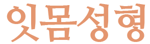 잇몸성형
