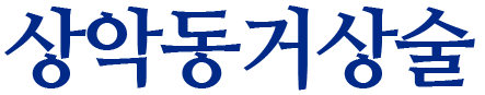 상악동거상술