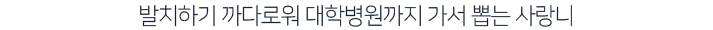 발치하기-까다로워-대학병원까지-가서-뽑는-사랑니