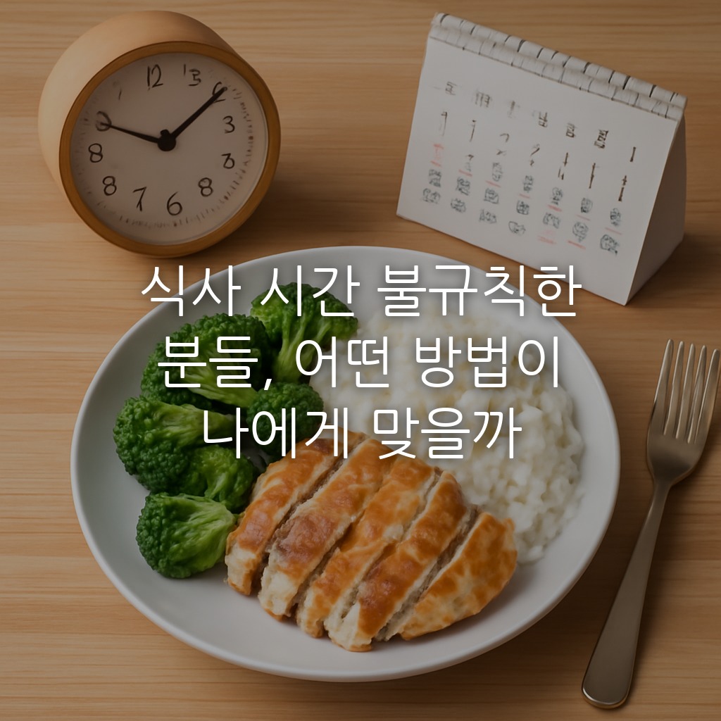 식사 시간 불규칙한 분들, 어떤 방법이 나에게 맞을까